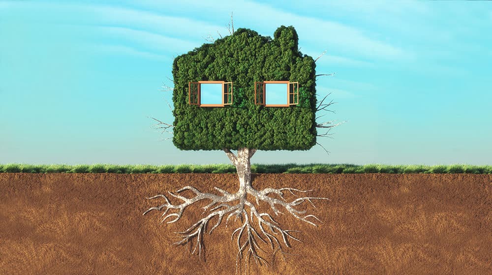 sustentabilidade-na-indústria-de-móveis-plataforma-setor-moveleiro-grupo-legalizar
