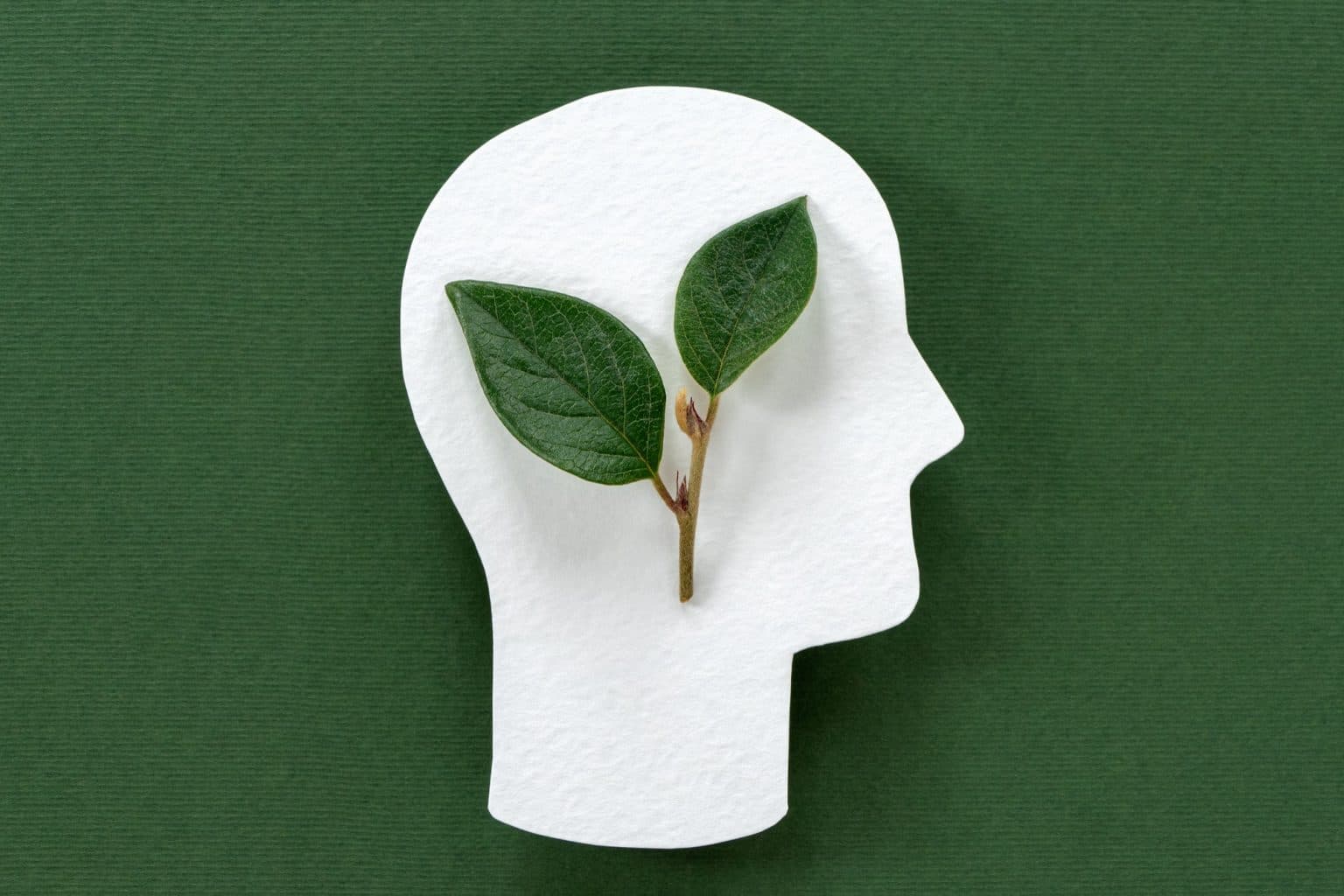 9 insights sobre sustentabilidade no varejo destacados na NRF 2023 - Plataforma Setor Moveleiro