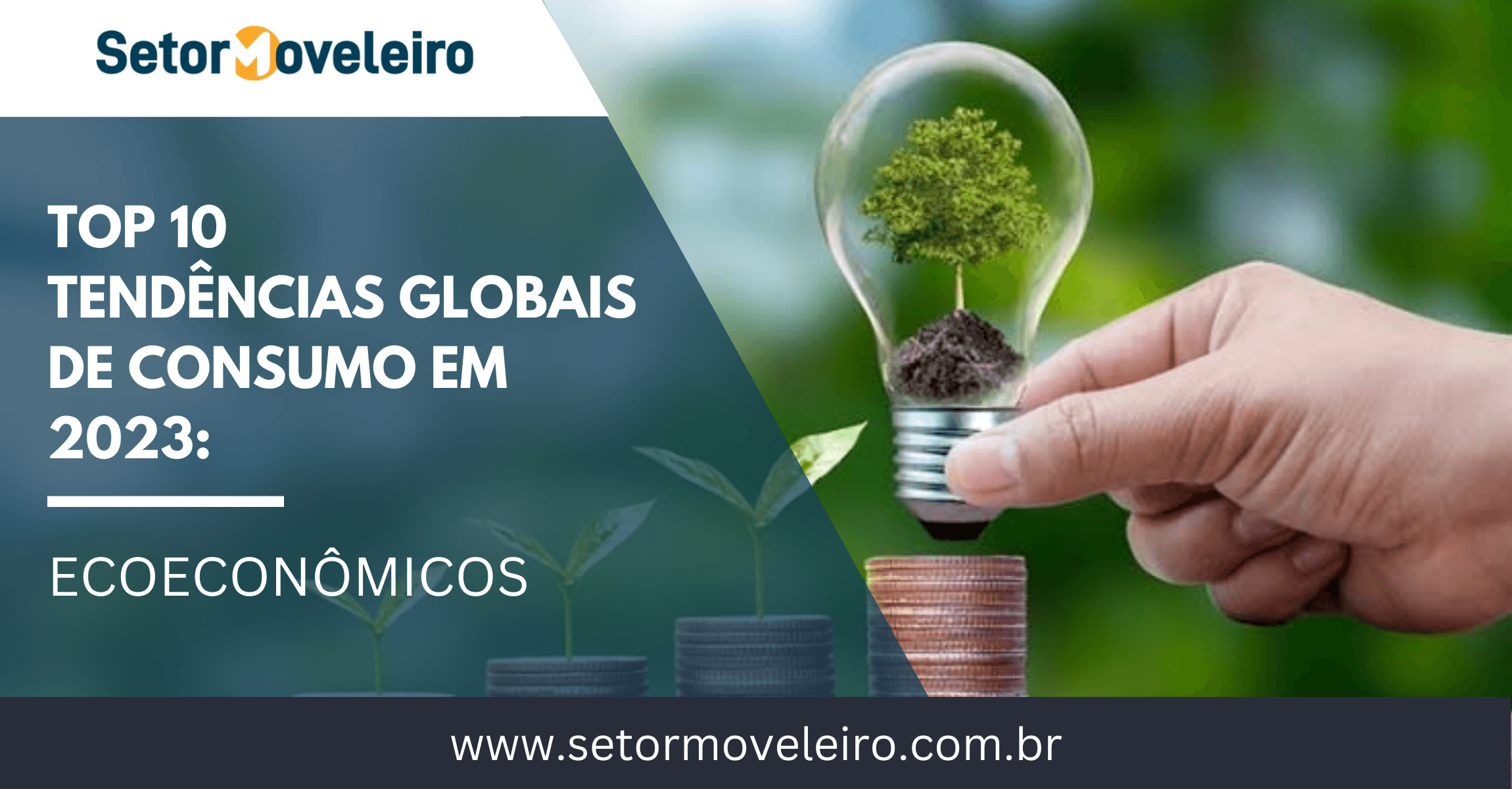 ‘Salve o seu bolso, salve o planeta’: recado dos ecoeconômicos