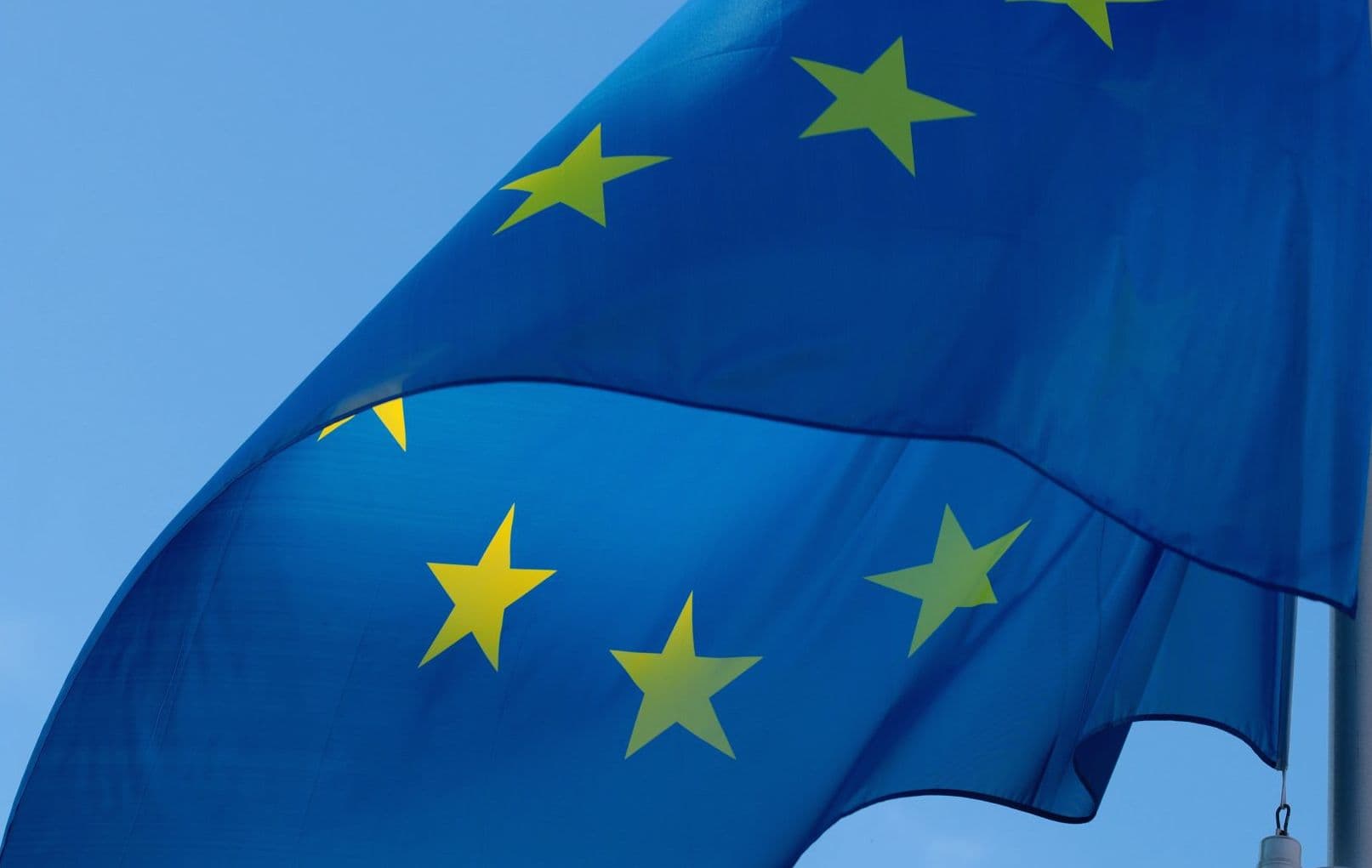 União Europeia proíbe importação de produtos oriundos de desmatamento: móveis estão na mira
