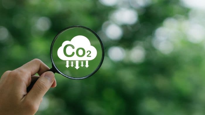 Empresas carbono neutro: o que são e como podem impactar o setor moveleiro?