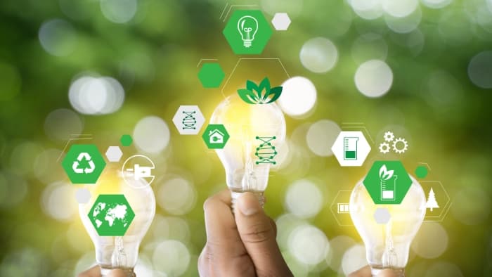 Crescimento sustentável: o que é e como aplicar na indústria moveleira?