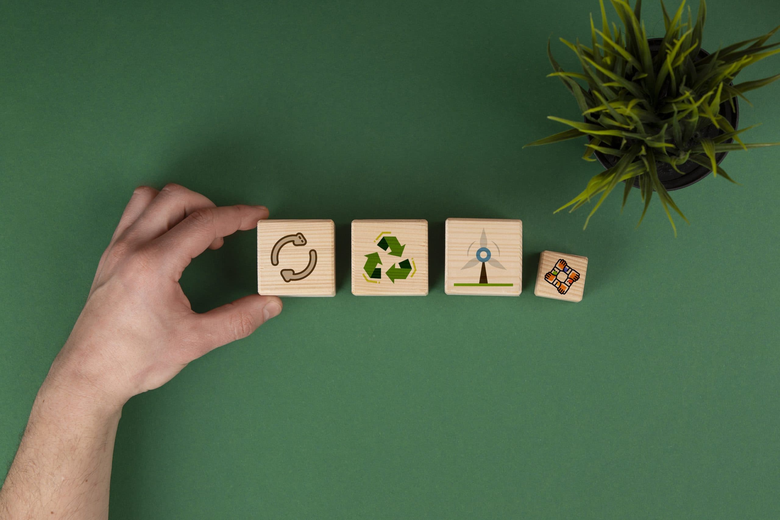 Sustentabilidade na Indústria Moveleira: o ROI de materiais ecológicos e certificações