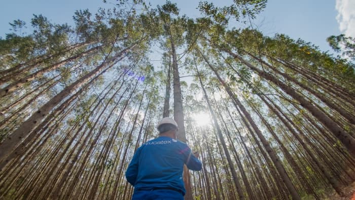 Eucatex comemora 75 anos e relembra trajetória construída ao lado da indústria moveleira