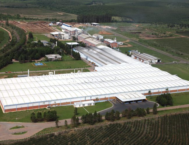 Pesquisa Eucatex traz panorama sobre consumo de móveis pós-pandemia