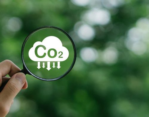 Empresas carbono neutro: o que são e como podem impactar o setor moveleiro?