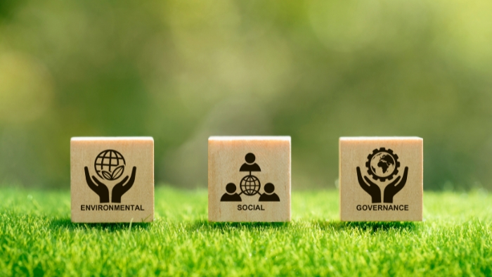 Como a sustentabilidade pode ser um diferencial competitivo no setor moveleiro?