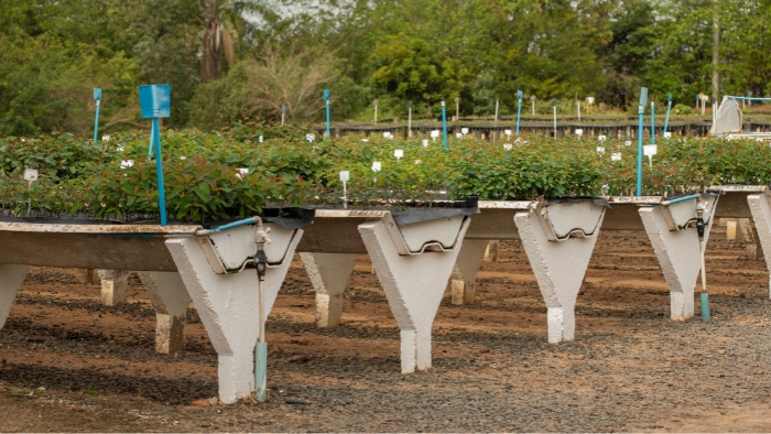 Eucatex publica primeiro Relatório de Sustentabilidade e mostra como aplica práticas de ESG no seu dia a dia