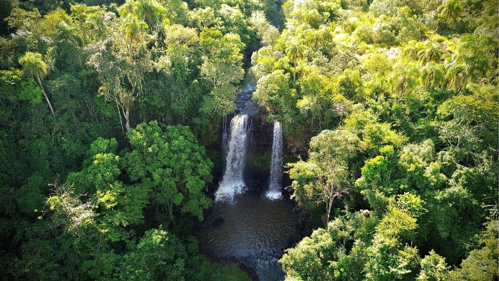 Eucatex publica primeiro Relatório de Sustentabilidade e mostra como aplica práticas de ESG no seu dia a dia