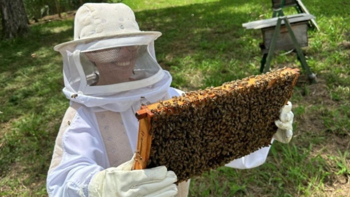 Eucatex publica primeiro Relatório de Sustentabilidade e mostra como aplica práticas de ESG no seu dia a dia