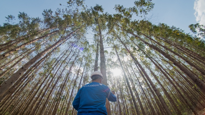 Eucatex publica primeiro Relatório de Sustentabilidade e mostra como aplica práticas de ESG no seu dia a dia