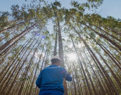 Eucatex comemora 75 anos e relembra trajetória construída ao lado da indústria moveleira